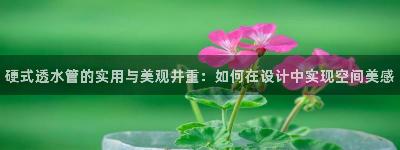 富邦娱乐app那里下载