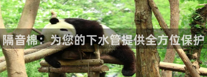 富邦娱乐项目