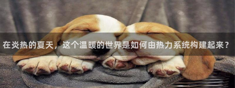 富邦体育娱乐