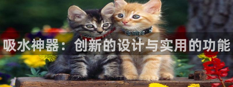 富邦中心娱乐