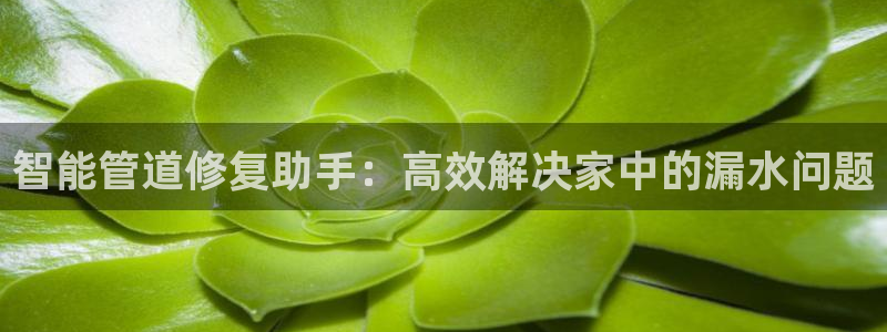 临平富邦佳丽娱乐会所