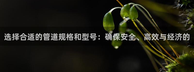 富邦娱乐app的三个版本