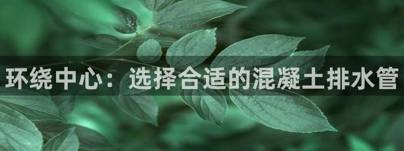 富邦娱乐 全礴网