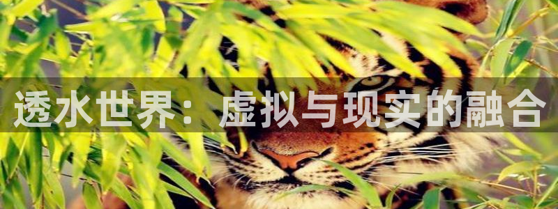 富邦娱乐官网最新网址