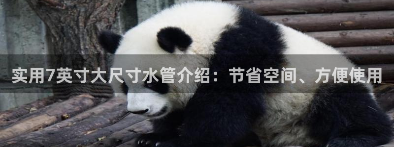 富邦电子娱乐
