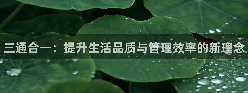 富邦历山湾娱乐