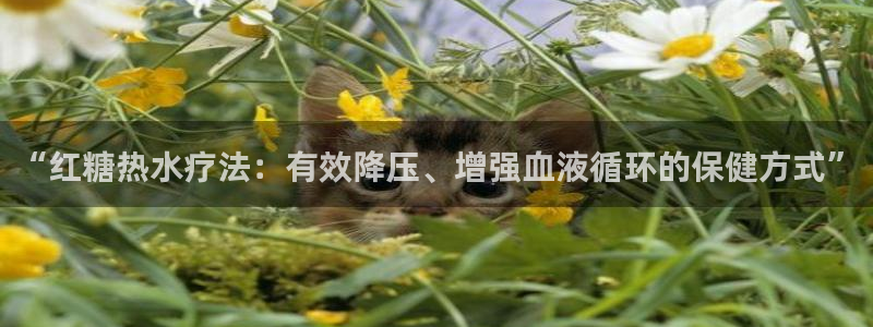 富邦娱乐会所kTV