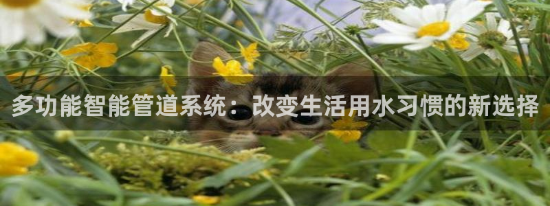 富邦娱乐老品牌