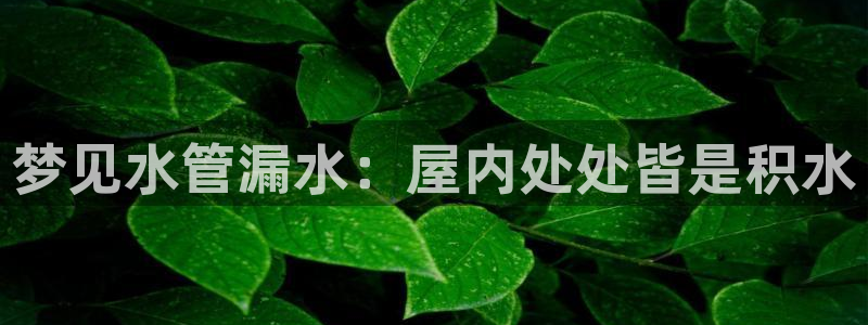 hubang富邦娱乐
