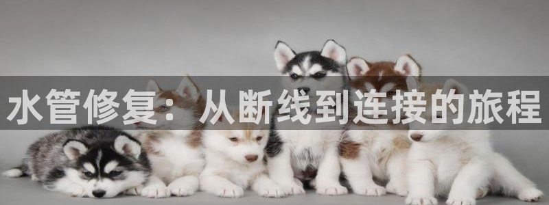 屏山富邦娱乐会所电话地址