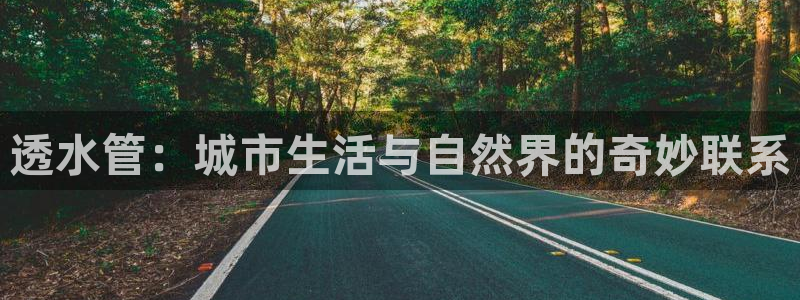 富邦娱乐平台网址