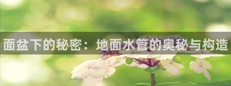 杭州富邦娱乐集团