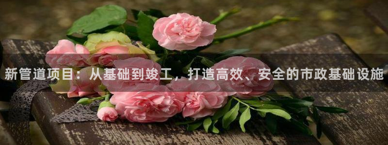 富邦娱乐网址是