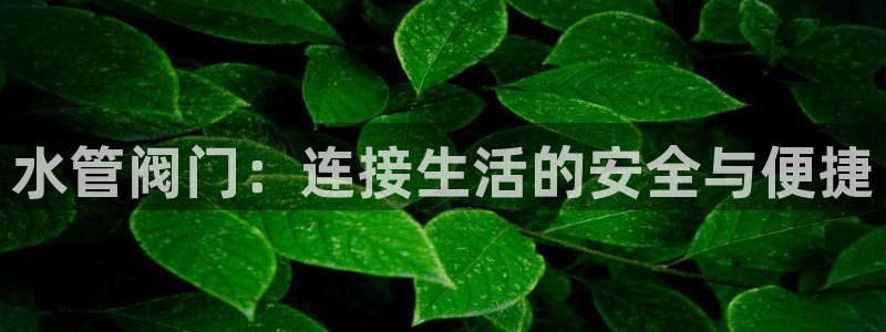 富邦娱乐澳门娱乐网址