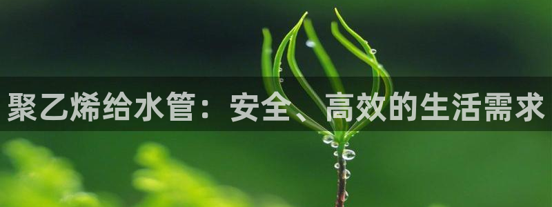 富邦娱乐开户 全礴网