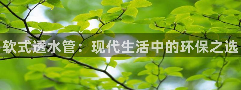 富邦娱乐官网 全礴网