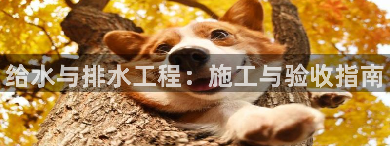 富邦中心娱乐
