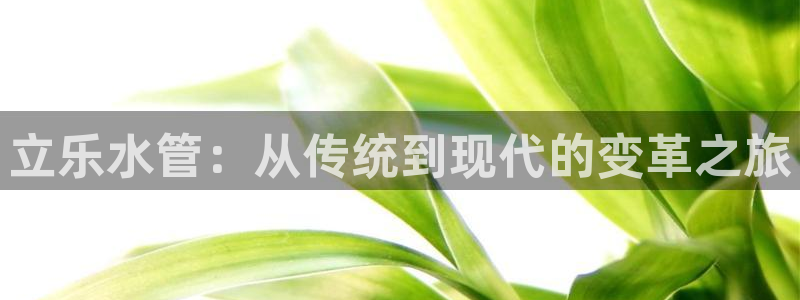 富邦娱乐场线路