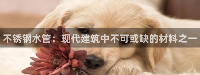富邦娱乐怎么样