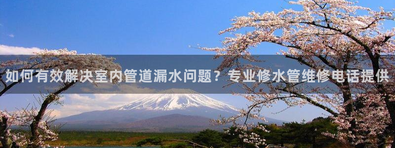 富邦网上娱乐网址大全