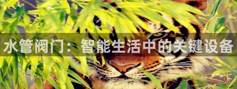临平富邦佳丽娱乐会所
