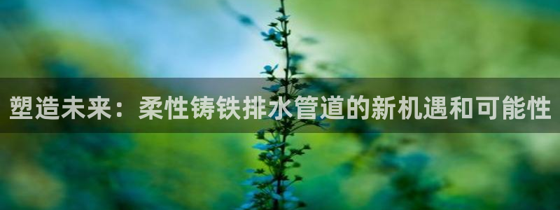 上海邦富娱乐