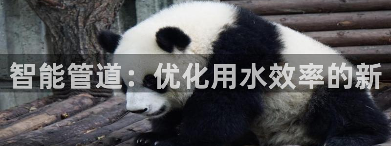 富邦游娱乐团购