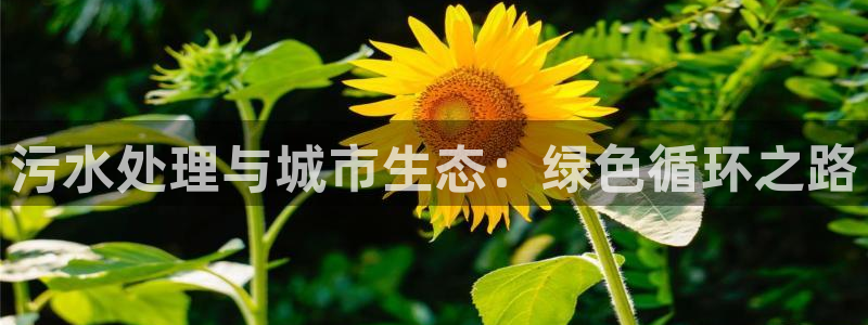 富邦娱乐 全礴网