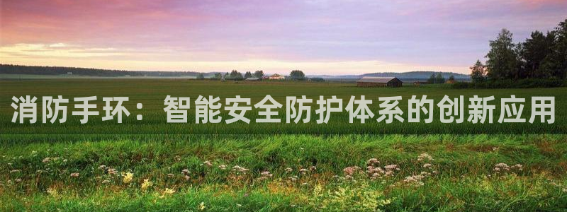 上海邦富娱乐