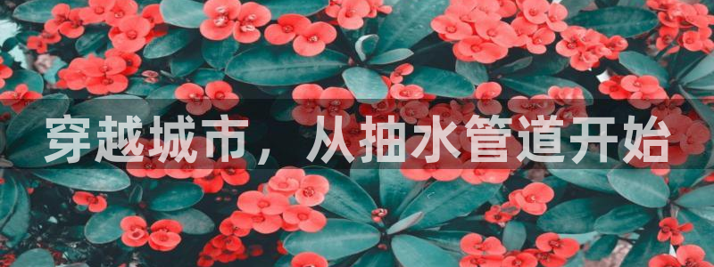 富邦娱乐澳门娱乐网址