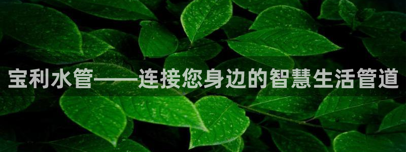 上海邦富娱乐