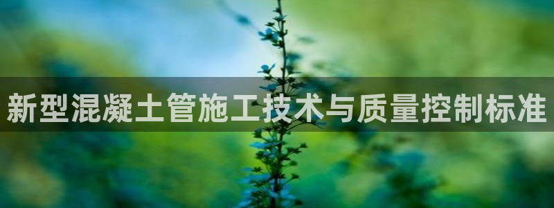 邦富娱乐国际
