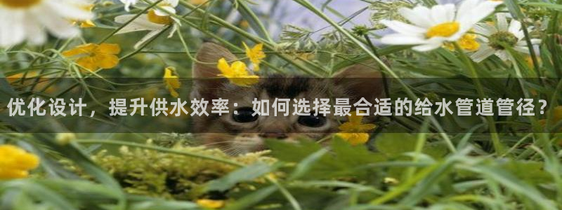 富邦娱乐大厅优惠活动