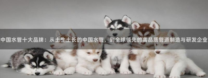 富邦娱乐场线路