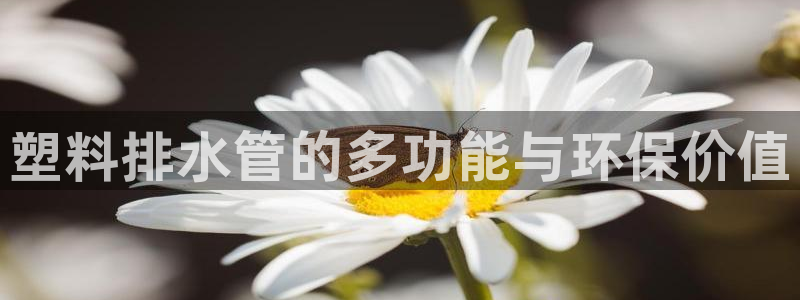 富邦娱乐会所在几楼上班