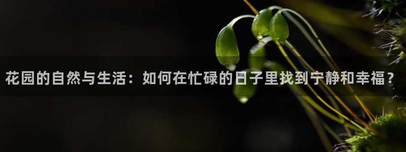 富邦天娱乐