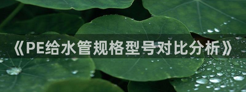 富邦娱乐城 皇恩靠谱