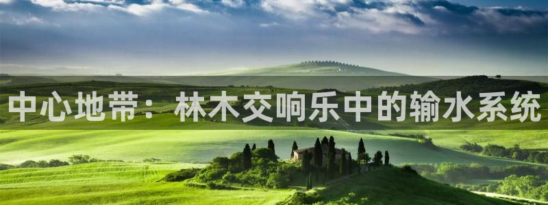 富邦娱乐网址是