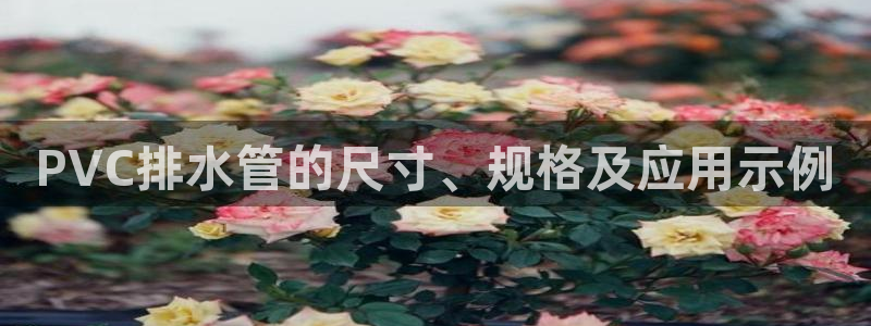 临平富邦酒店娱乐中心