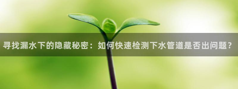 富邦娱乐会所在几楼上班