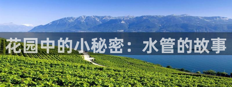 富邦娱乐会所在几楼上班