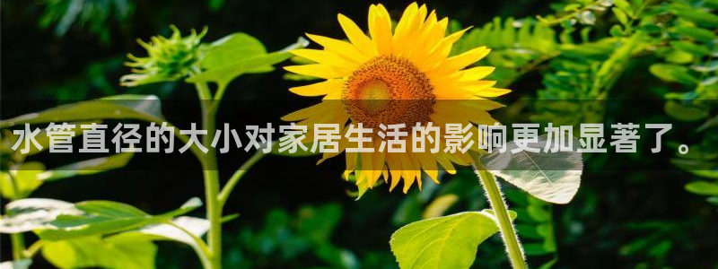 富邦翡翠娱乐怎么样知乎