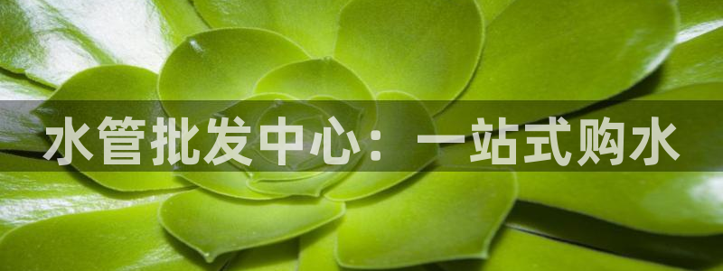 富邦娱乐注册-上全狐网