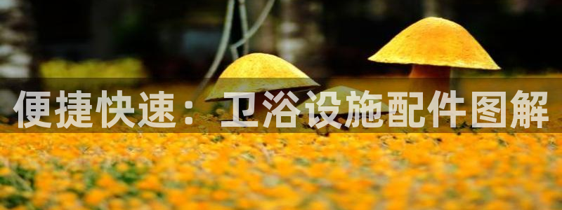 富邦娱乐网页版登录入口