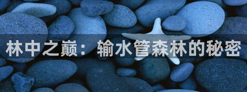 富邦娱乐平台登录网址