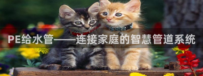 富邦广场北仑娱乐