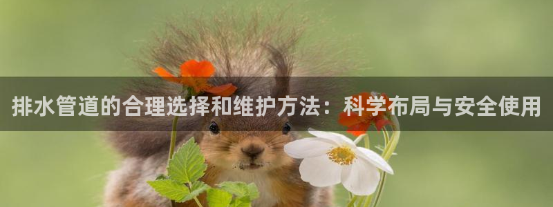 富邦娱乐团购活动时间