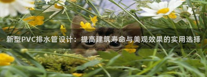 富邦娱乐网址是