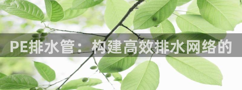富邦娱乐有限公司怎么样