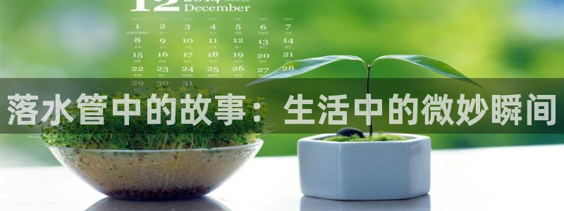 临平富邦娱乐会所